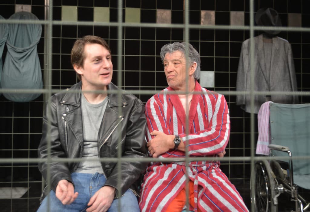 Das Herz Eines Boxers Theater Bilitz